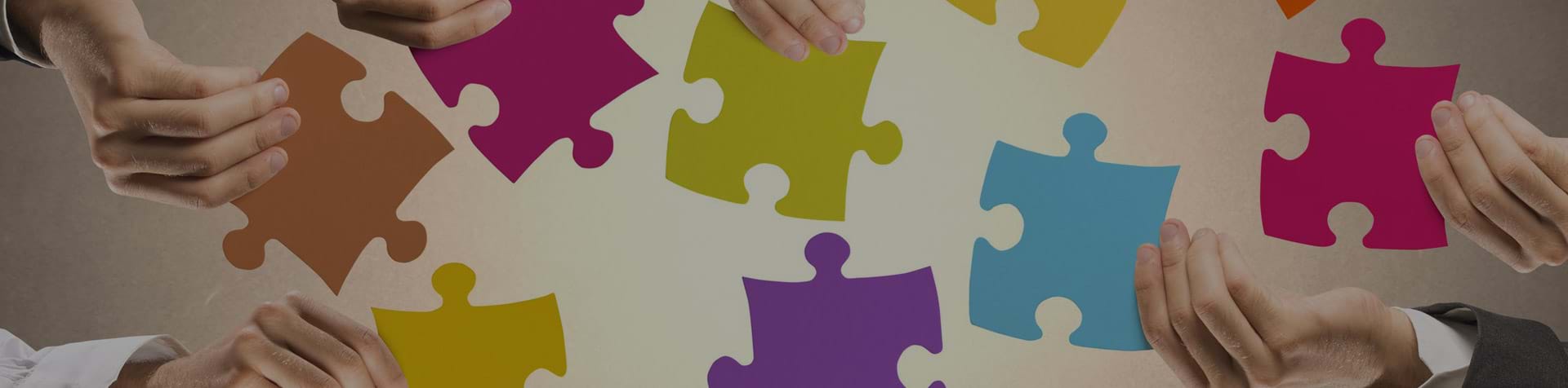 /mission-vision-values