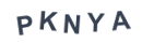 Güvenlik Kodu
